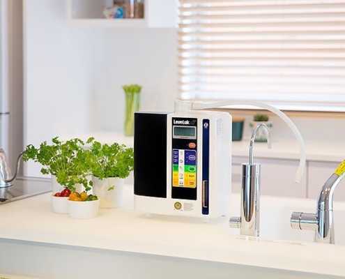 Ionizador de Agua Leveluk SD501